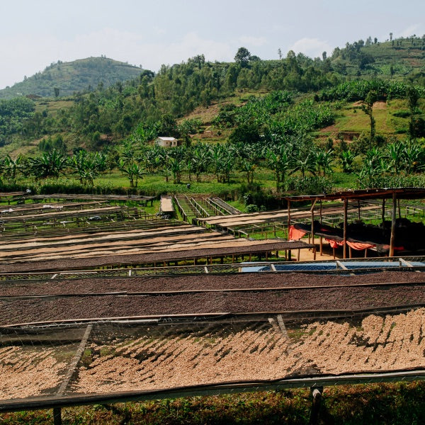 RUANDA KILIMBI NATURAL FILTER